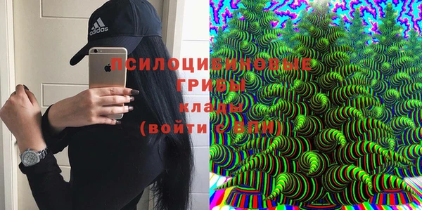 МДПВ Алзамай