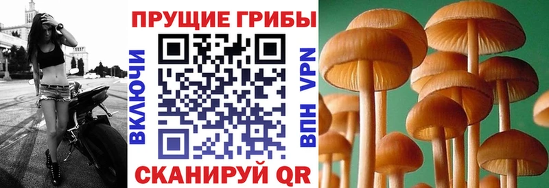 магазин продажи Далматово OMG как зайти Галлюциногенные грибы мухоморы